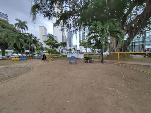 Le dog park principal — communauté expat soudée