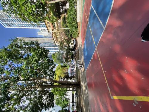 Terrain de basket