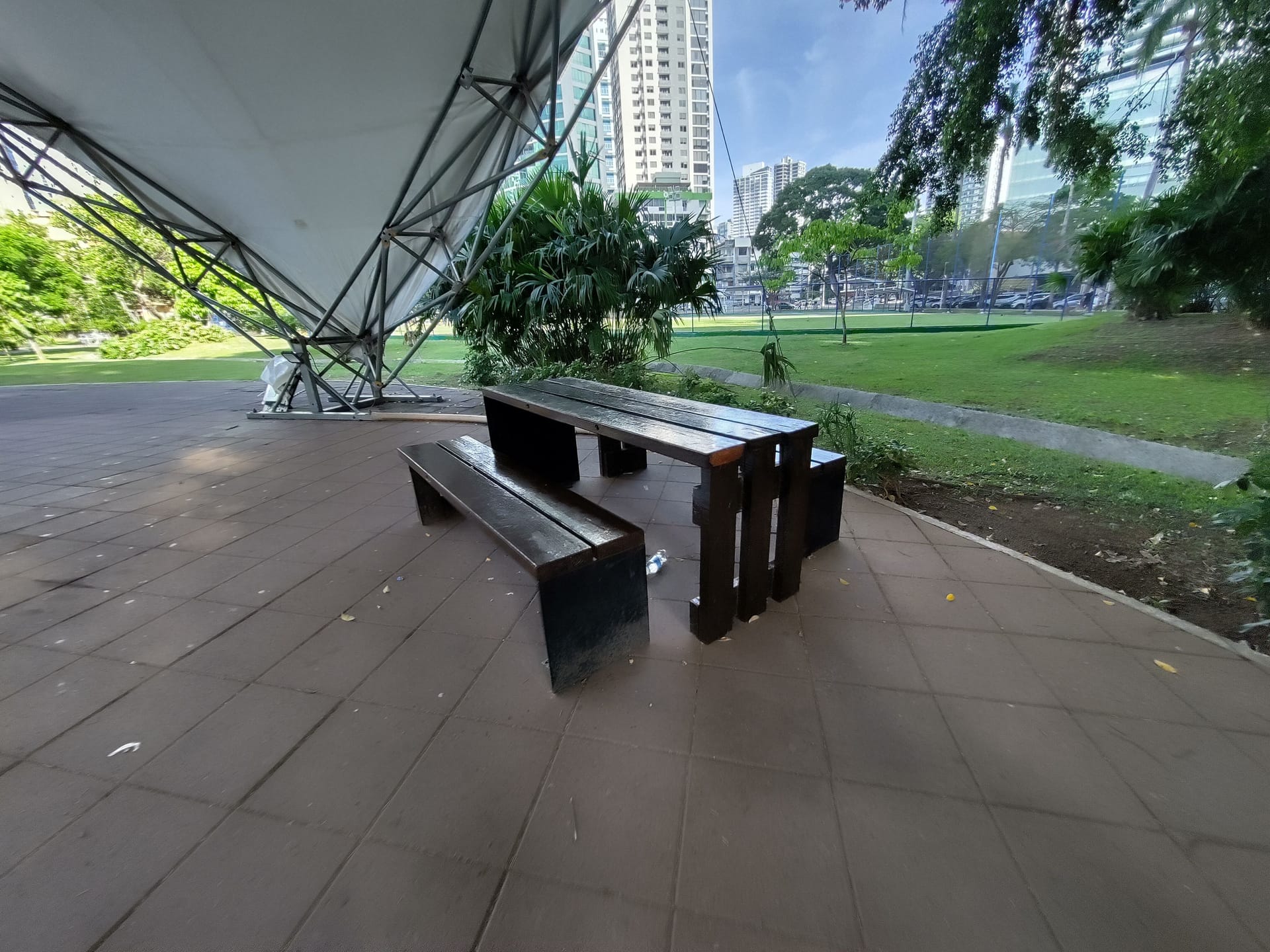 Tables de pique-nique sous les arbres
