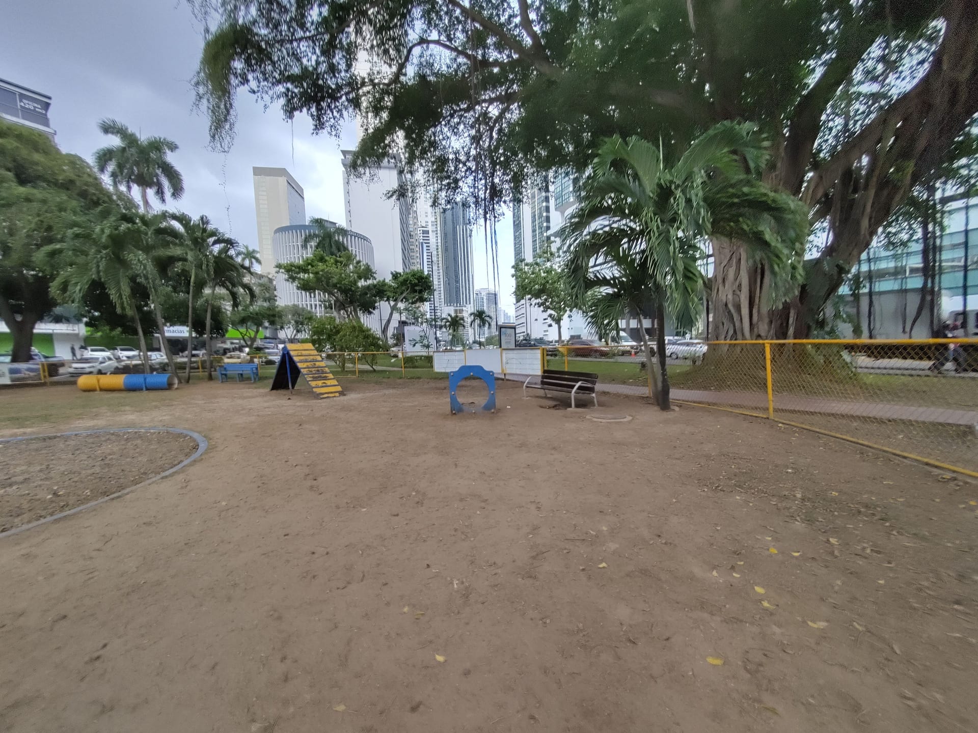 Le dog park principal — communauté expat soudée