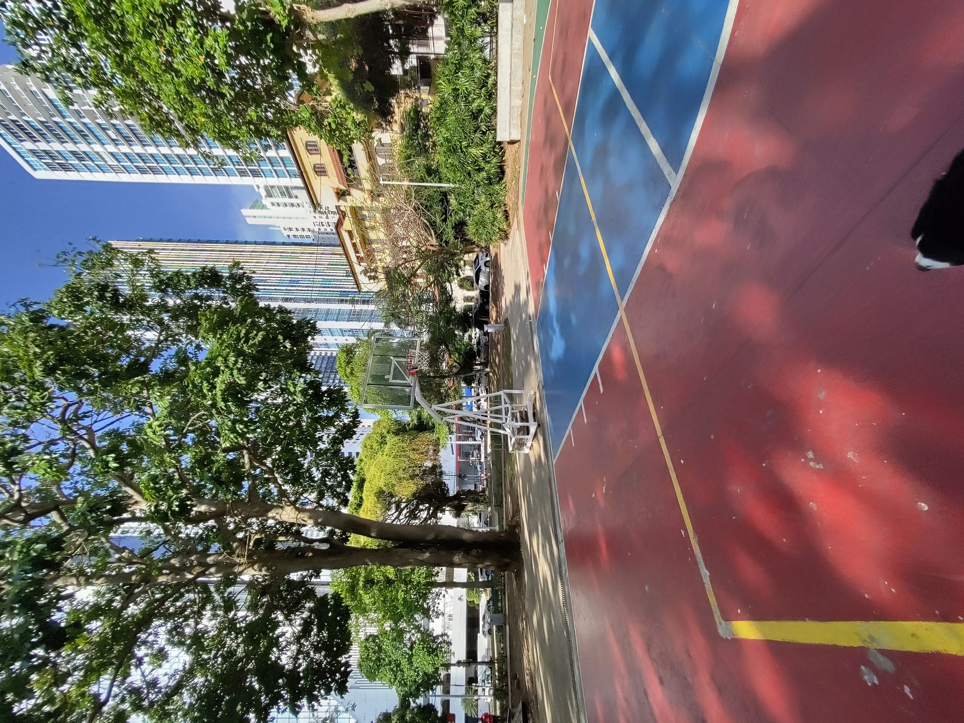 Terrain de basket